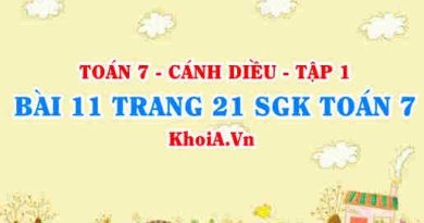 Bài 11 trang 21 SGK Toán 7 tập 1 Cánh Diều